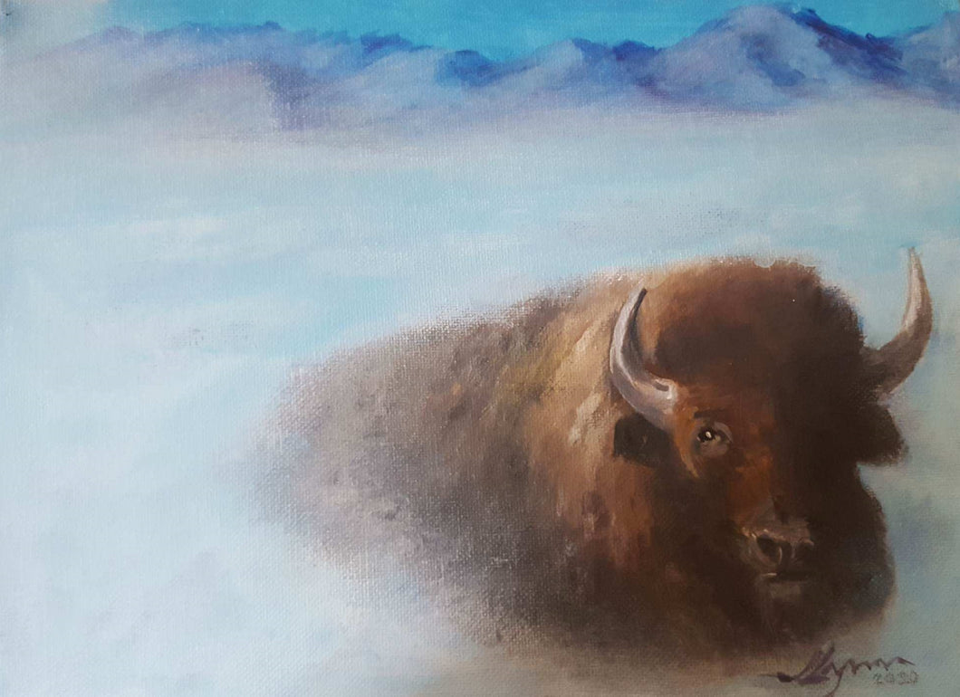 In Private Collection: American Bison