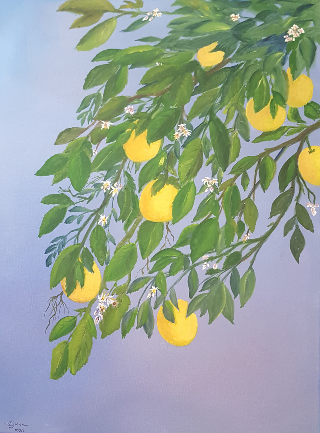 California Lemons - 18 x 24