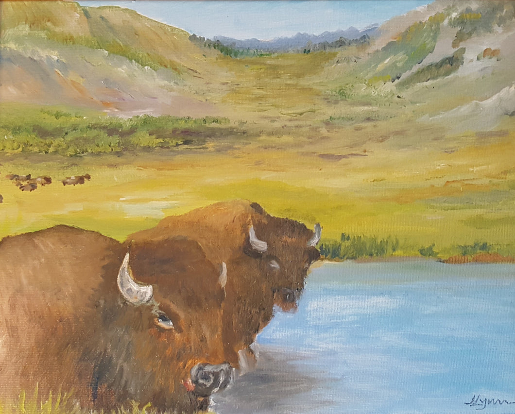 In Private Collection: Montana Bison