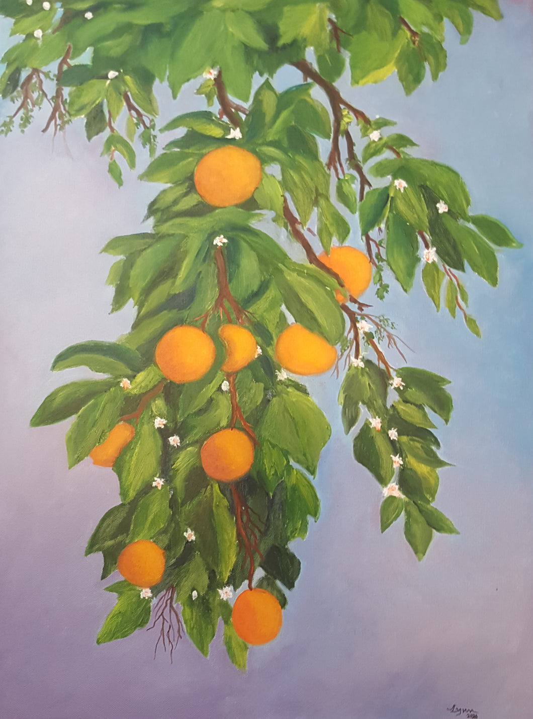 California Oranges - 18 x 24