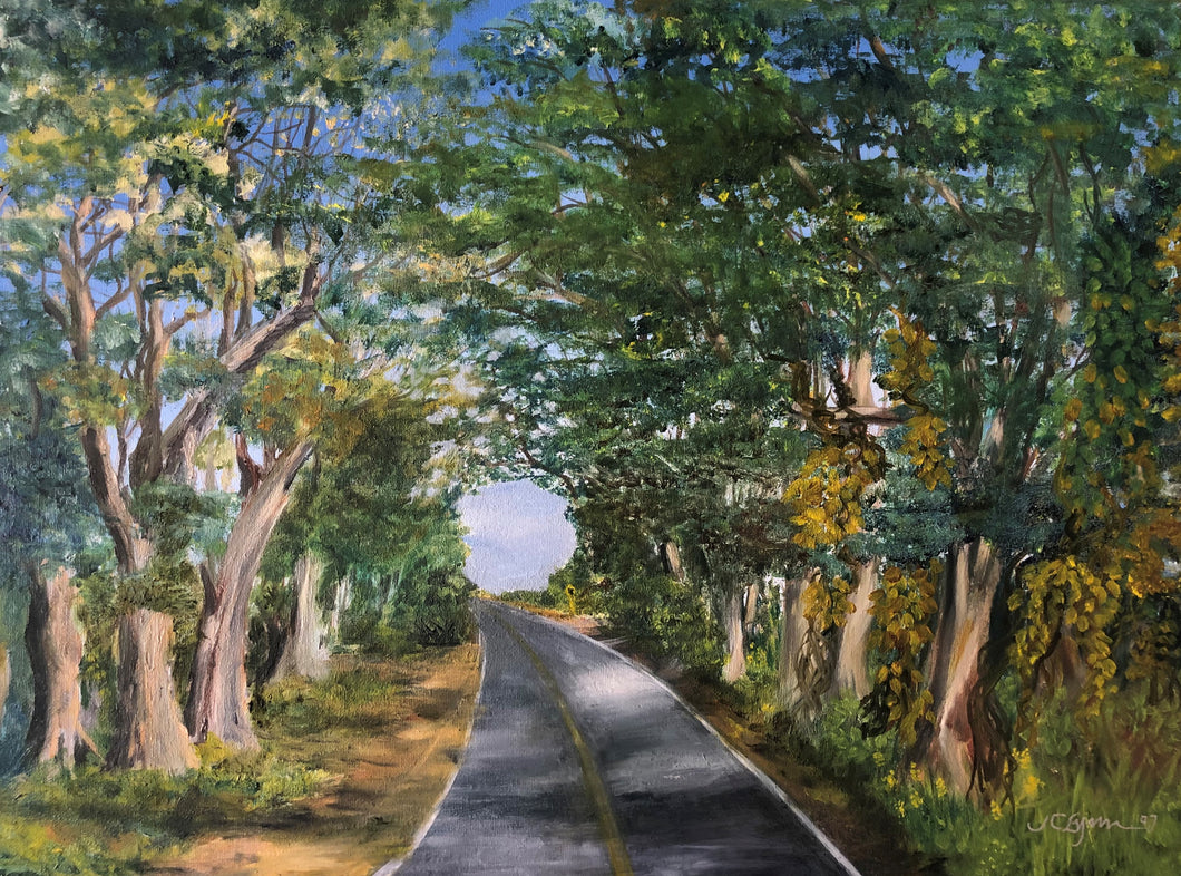 In Private Collection: Tree Tunnel, Kauai