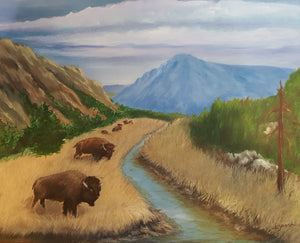 Yellowstone Bison - 16 x 20